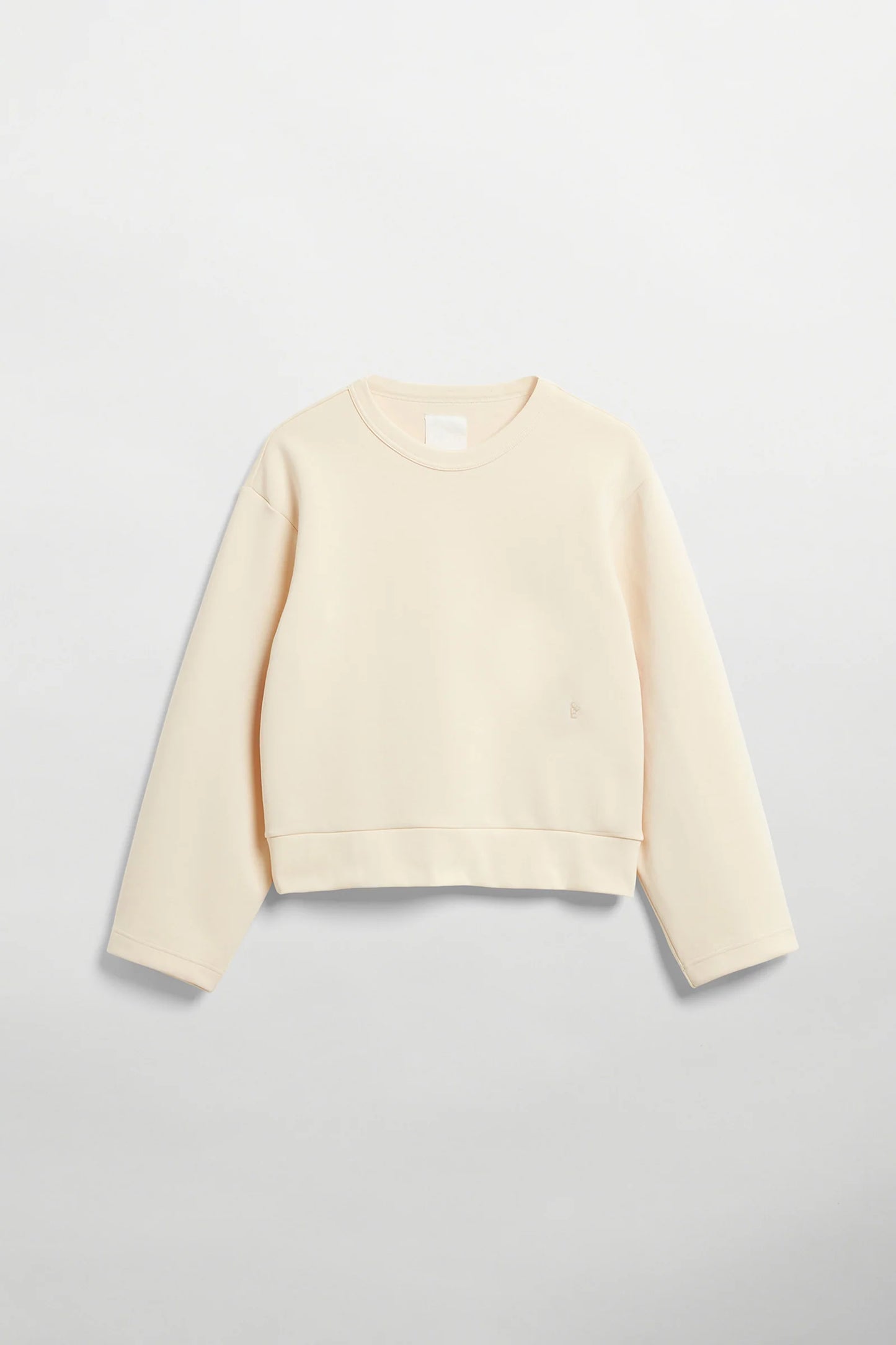 Alba - Spector Shop