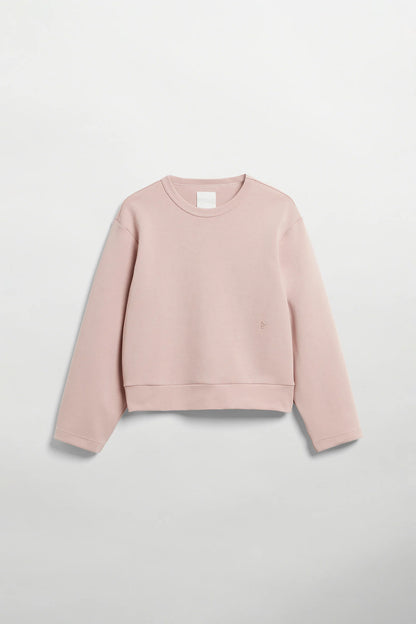 Alba - Spector Shop